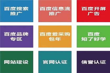 SEM代运营案例：企业增长动力源泉